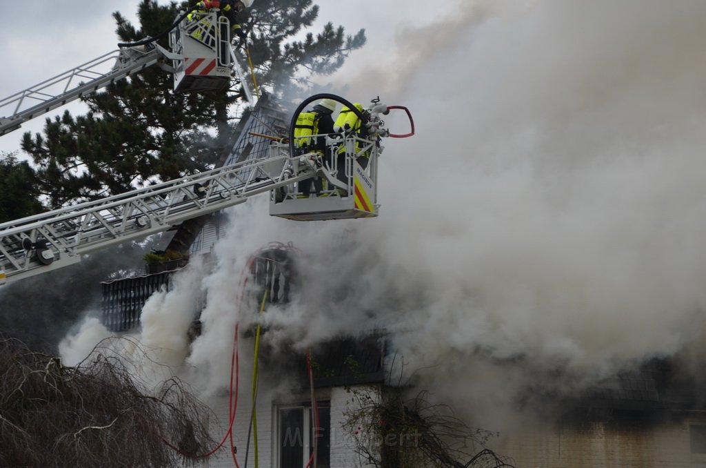 Feuer 5 Roesrath Am Grosshecker Weg P1277.JPG - Miklos Laubert